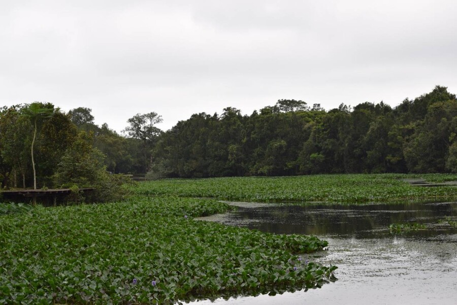 Mazury gdzie na weekend można odpocząć i spędzić czas aktywnie